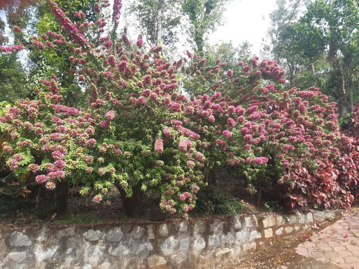 Athena Homestay Somvarpet Bagian luar foto