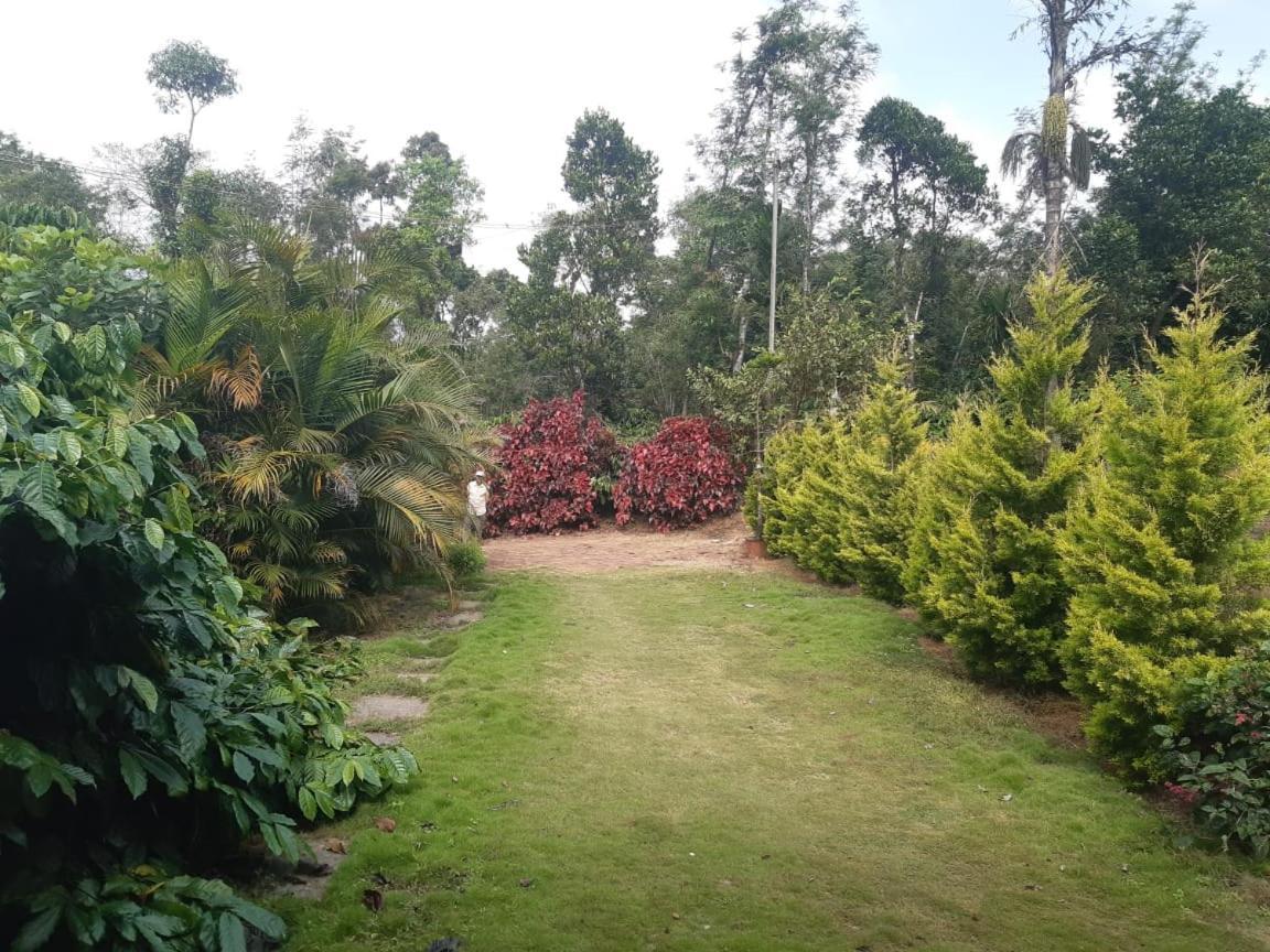 Athena Homestay Somvarpet Bagian luar foto
