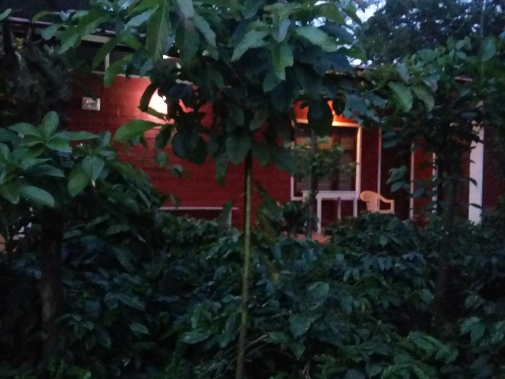 Athena Homestay Somvarpet Bagian luar foto