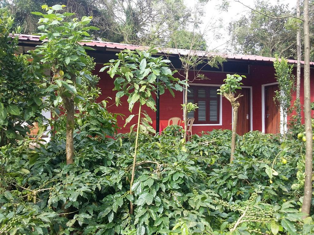Athena Homestay Somvarpet Bagian luar foto